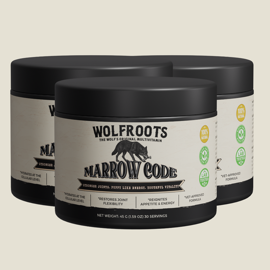 Marrow Code - Primal Bone Blend