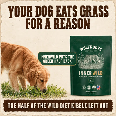 InnerWild Primal Greens Blend for Dogs