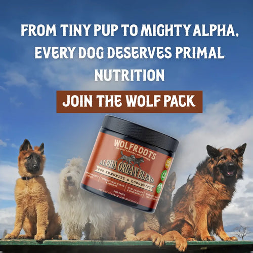 WolfRoots - Alpha Organ Blend