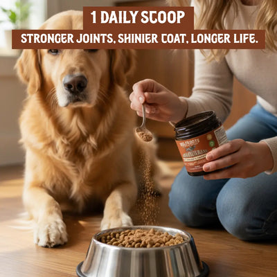 WolfRoots - Alpha Organ Blend