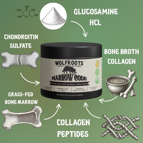 Marrow Code - Primal Bone Blend