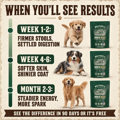 InnerWild Primal Greens Blend for Dogs