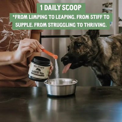 Marrow Code - Primal Bone Blend