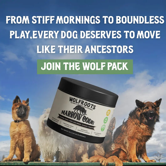 Marrow Code - Primal Bone Blend