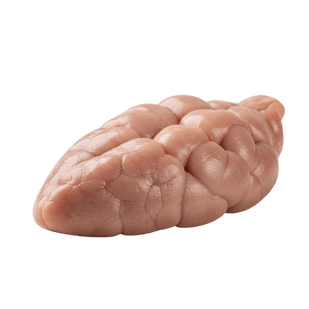 PANCREAS The Absorption Multiplier