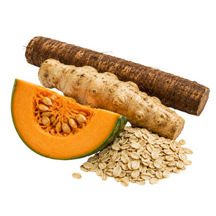 PREBIOTIC ROOTS The Gut Fuel