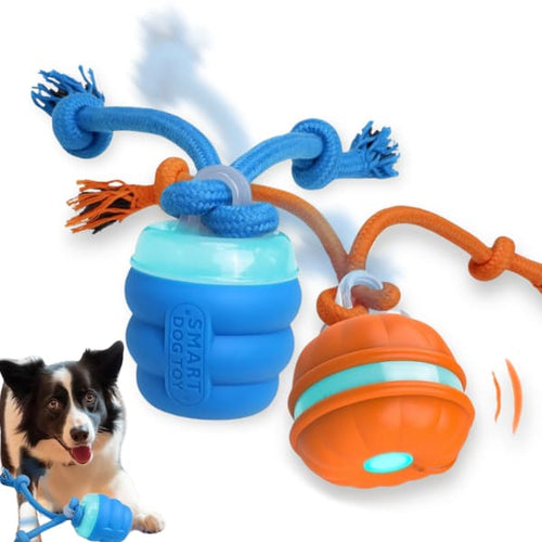 BarkBounce Smart Motion Ball
