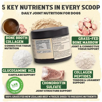Marrow Code - Primal Bone Blend