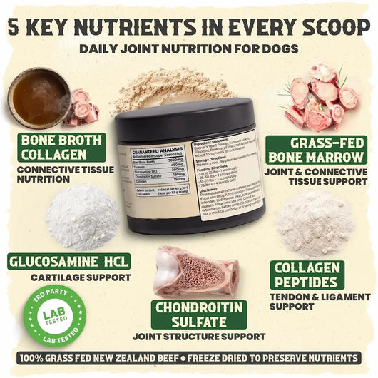 Marrow Code - Primal Bone Blend