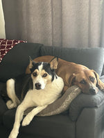 Kaila Haslam, New Jersey, US